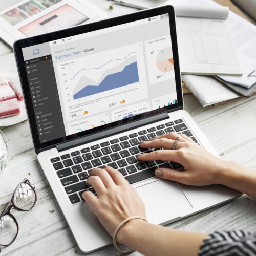 Adsense Package ( 3 Plugins + 2 Themes )